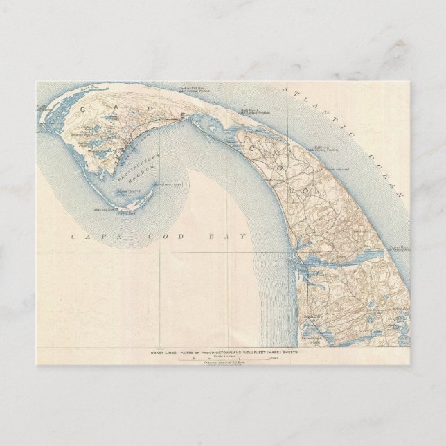 Postal Mapa de cosecha de baja bacalao del Cabo (Anverso)