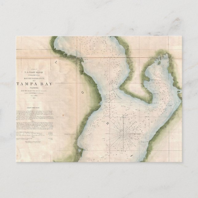 Postal Mapa de época de la bahía costera de Tampa (1855) (Anverso)