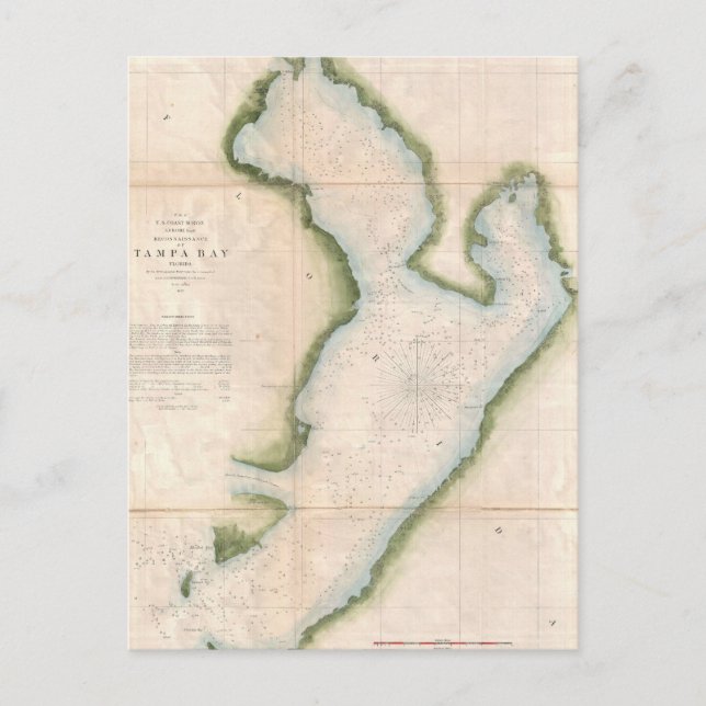Postal Mapa de época de la bahía costera de Tampa (1855) (Anverso)