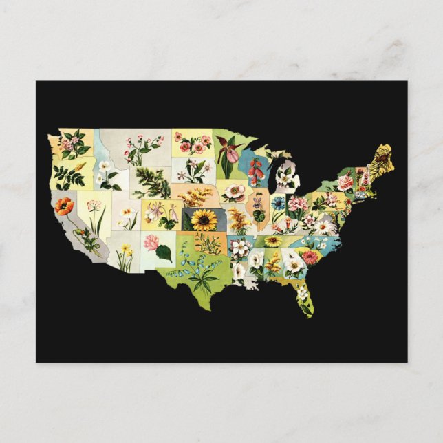 Postal Mapa de flores de Estados Unidos (Anverso)