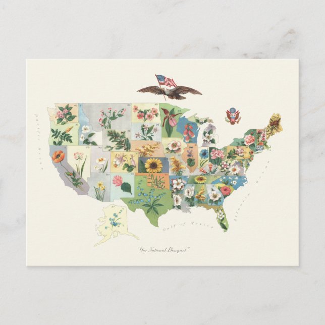 Postal Mapa de Flores de Estados Unidos - Nuestro Bouquet (Anverso)