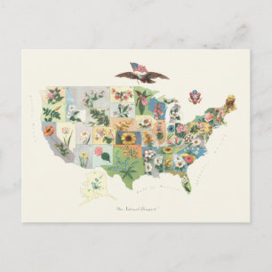 Postal Mapa de Flores de Estados Unidos - Nuestro Bouquet