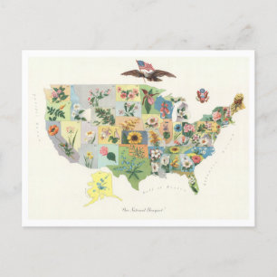Postal Mapa de flores estatales de la antigua época de 19