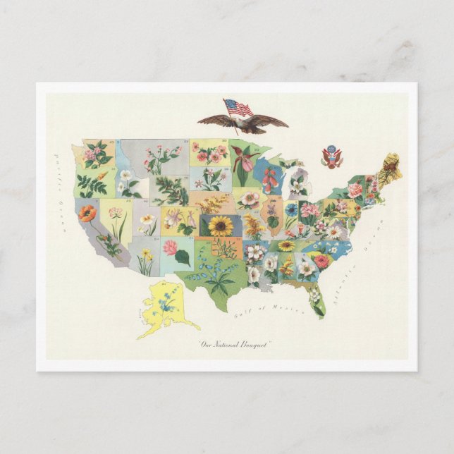 Postal Mapa de flores estatales de la antigua época de 19 (Anverso)