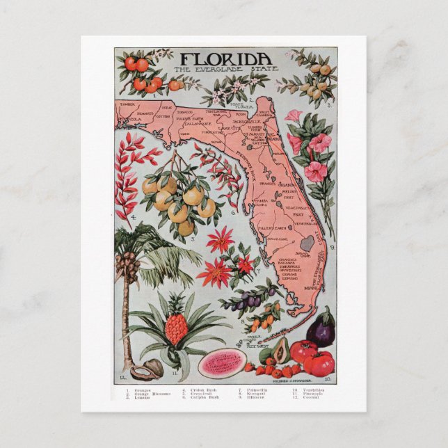 Postal Mapa de la Florida Vintage (Anverso)