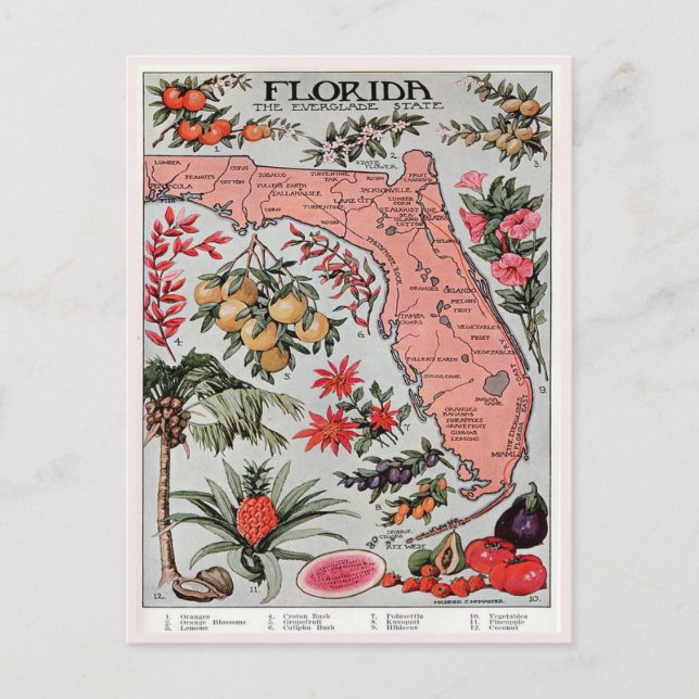 Postal Mapa de la vieja Florida, viaje al estado de Everg (Anverso)
