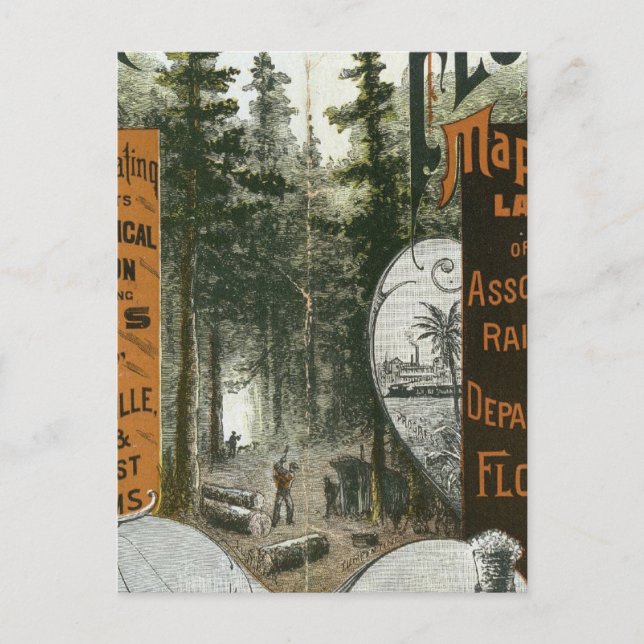 Postal Mapa de municipio de Florida (Anverso)