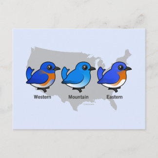 Postal Mapa de pájaro azul