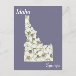 Postal Mapa del Collage de Flores del Estado de Idaho