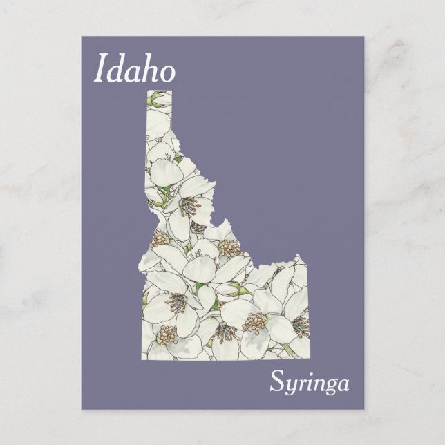 Postal Mapa del Collage de Flores del Estado de Idaho (Anverso)