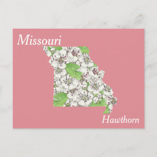 Postal Mapa del Collage de Flores del Estado de Misuri