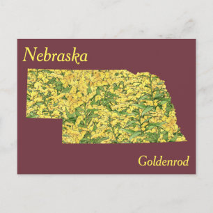 Postal Mapa del Collage de Flores del Estado de Nebraska