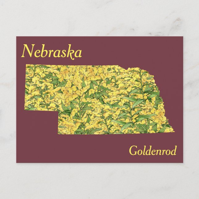 Postal Mapa del Collage de Flores del Estado de Nebraska (Anverso)