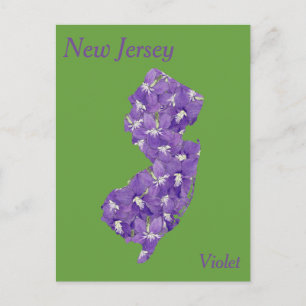Postal Mapa del Collage de Flores del Estado de Nueva Jer