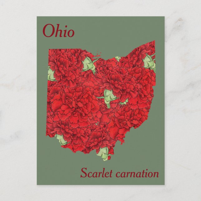 Postal Mapa del Collage de Flores del Estado de Ohio (Anverso)
