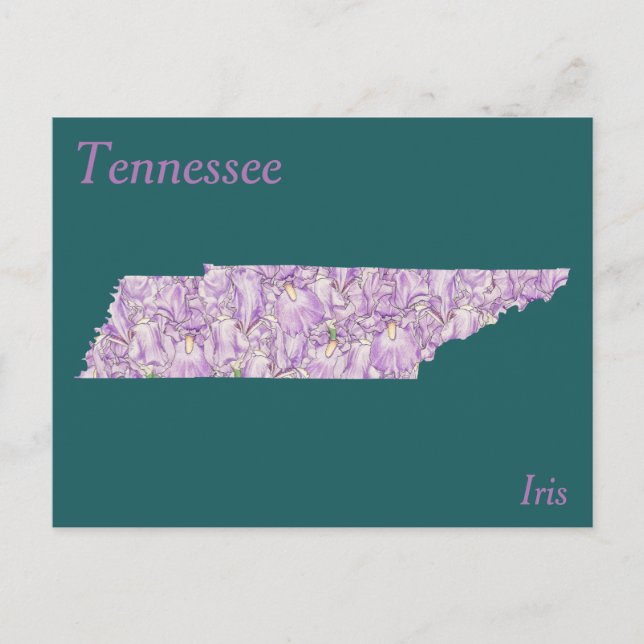 Postal Mapa del collage de la flor de estado de Tennessee (Anverso)