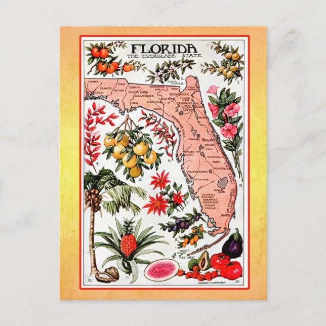 Postal Mapa Estatal de Florida (reimpresión de época) (Anverso)