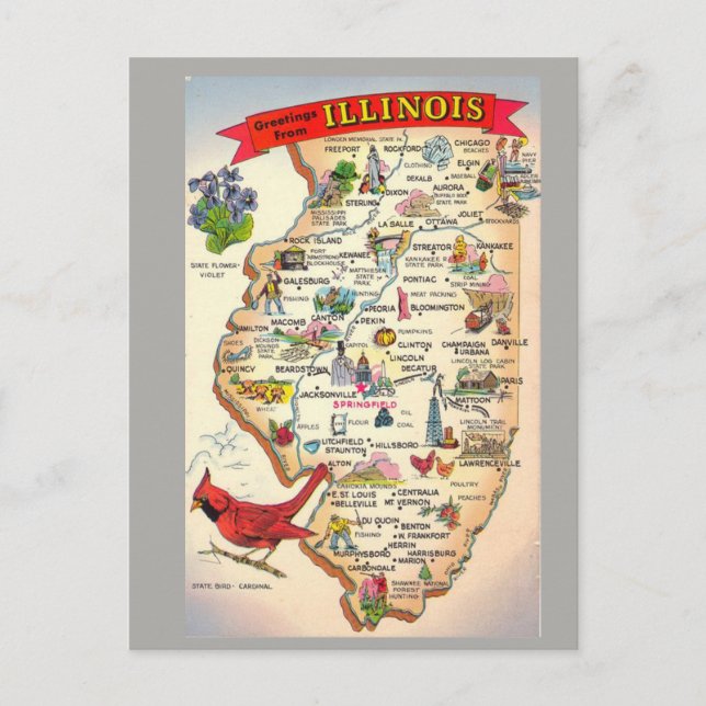 Postal Mapa estatal de Illinois (Anverso)