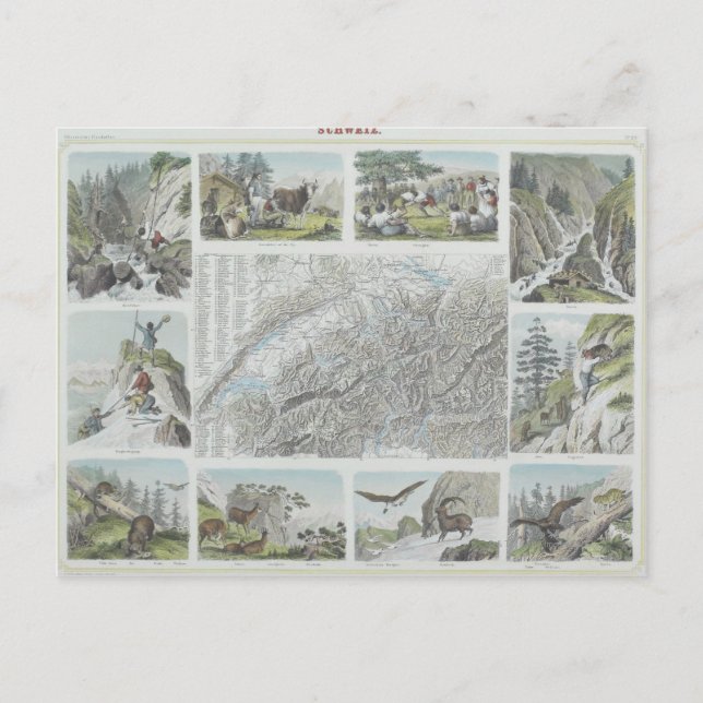 Postal Mapa y viñetas de los Alpes suizos (Anverso)