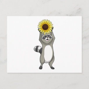 Postal Mapache con girasol