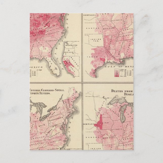 Postal Mapas de vitalidad de Estados Unidos (Anverso)