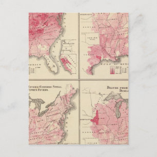 Postal Mapas de vitalidad de Estados Unidos