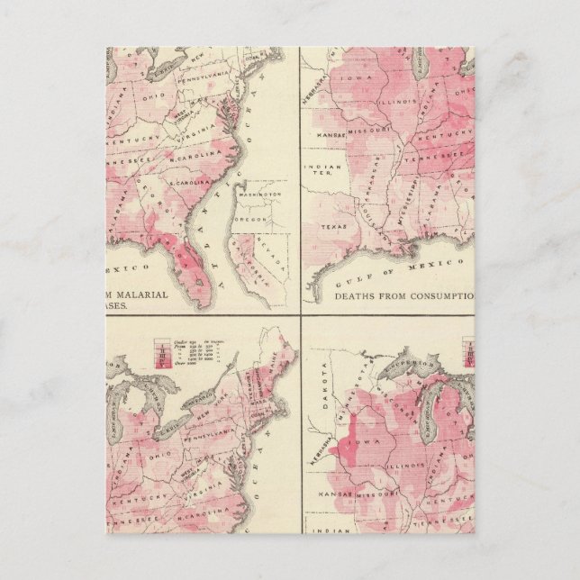 Postal Mapas de vitalidad de Estados Unidos (Anverso)