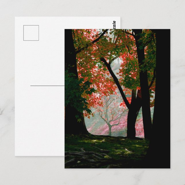 Postal Maple (Anverso / Reverso)