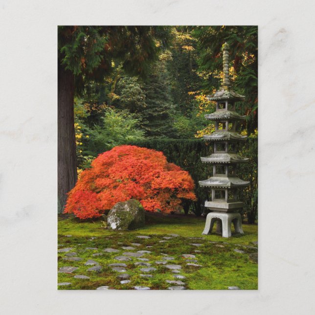 Postal Maple japonés y pagoda en un jardín japonés (Anverso)