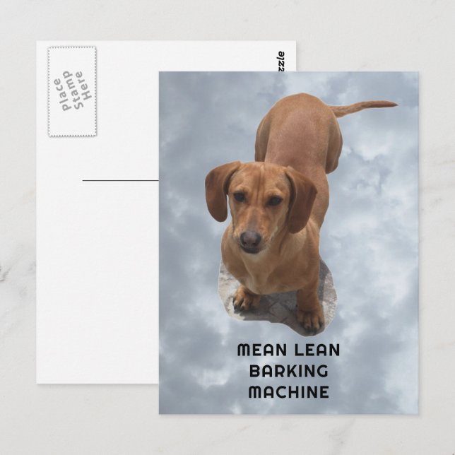 Postal Máquina de ladrido de Dachshund marrón (Anverso / Reverso)