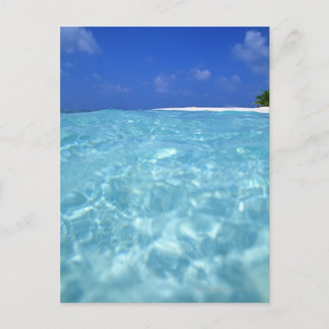 Postal Mar (Anverso)