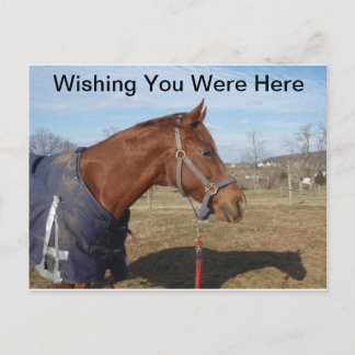 Postal Mar Azul Azul Azul - Desearía Estar Aquí Postcard