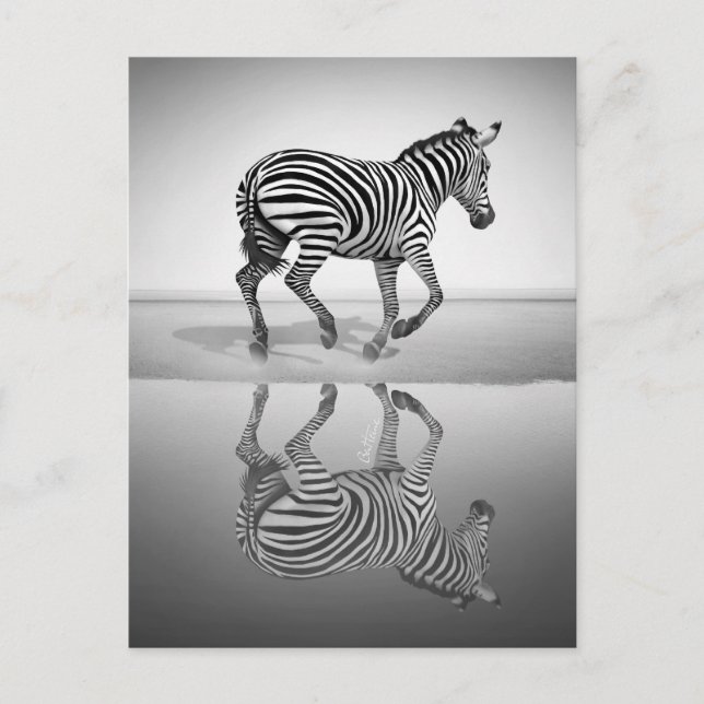 Postal Mar de la Libertad (Anverso)