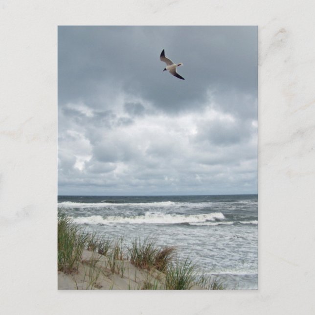 Postal Mar de tormenta (Anverso)