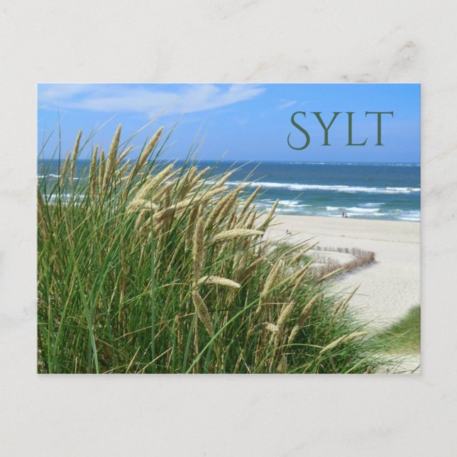 Postal Mar del Norte, playa, dunas, silít, Nordfriesland (Anverso)