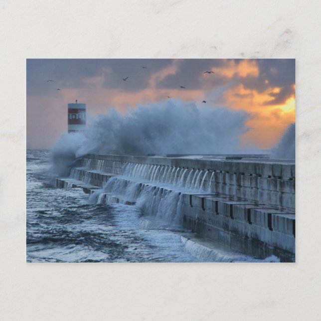 Postal Mar duro en Oporto, Portugal (Anverso)