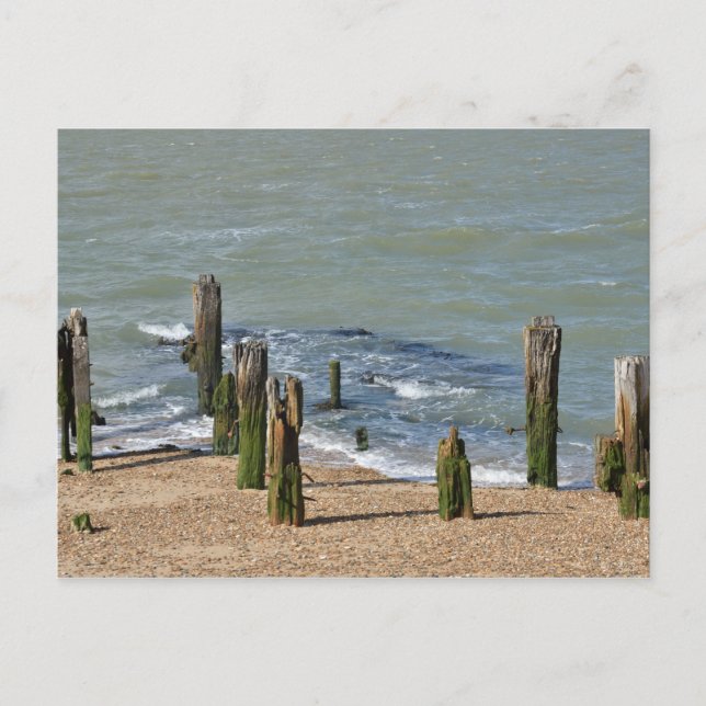 Postal Mar en el Suffolk de Landguard Point (Anverso)