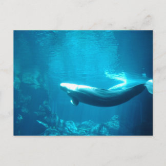 Postal Mar tranquilo