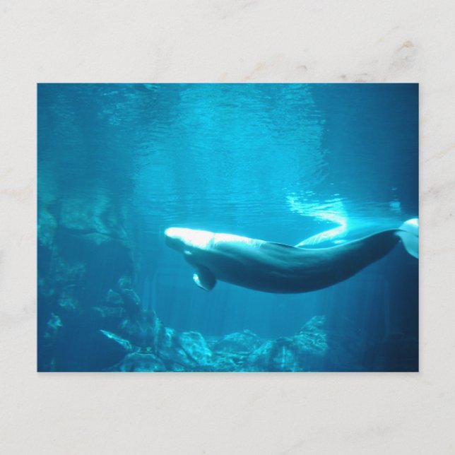 Postal Mar tranquilo (Anverso)