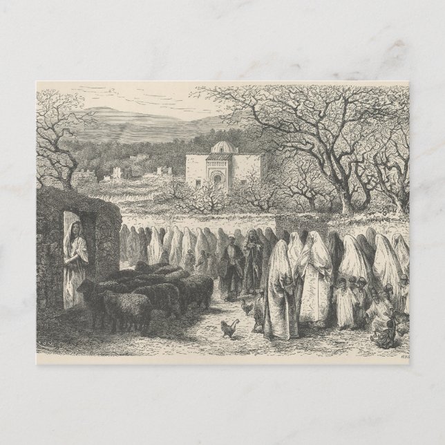 Postal Marabout y procesión: Tlemcen (Anverso)