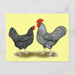 Postal Marans: Cuckoo Pair