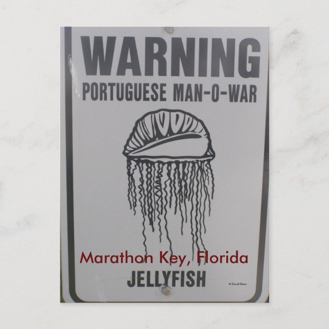 Postal Marathon Key, Florida (Anverso)