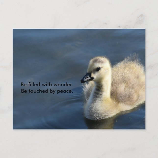 Postal Maravilla y paz (Anverso)