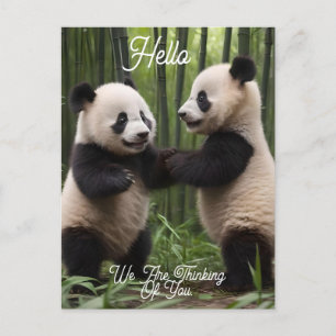 Postal Maravillas caprichosas: Los bebés pandas juegan en