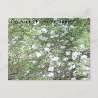 Postal Maravillas en el lado de la carretera