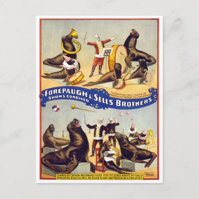 Postal Maravillosamente Entrenados, 1899 (Anverso)