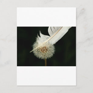 Postal Maravilloso Dandelion