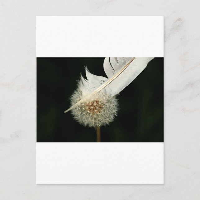 Postal Maravilloso Dandelion (Anverso)