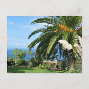 Postal Maravilloso Tenerife