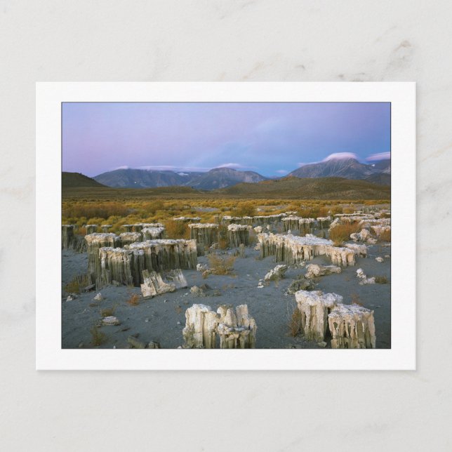 Postal "Marca de agua antigua" (Anverso)